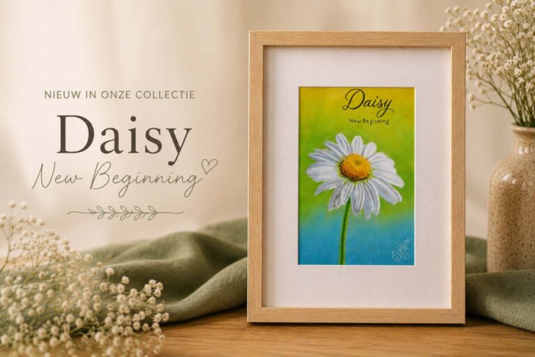 Daisy New Beginning