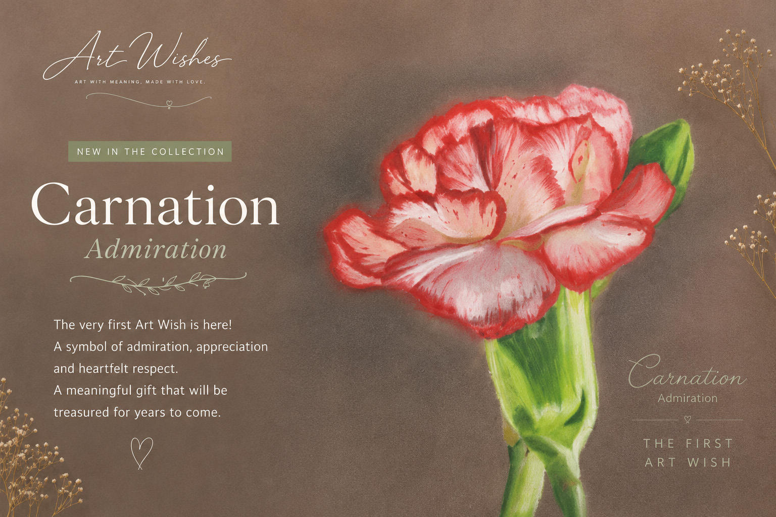 The Carnation