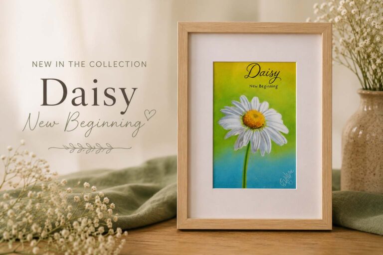 Daisy New Beginning